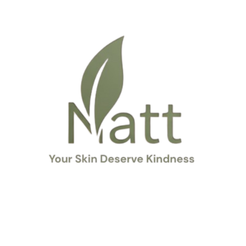 logo_natt